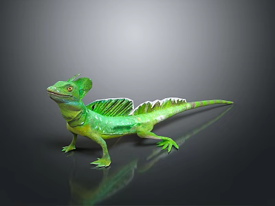 Lizard Anime Lizard Cartoon Lizard Reptile Cold Blooded Animal Reptile Reptile 3d model