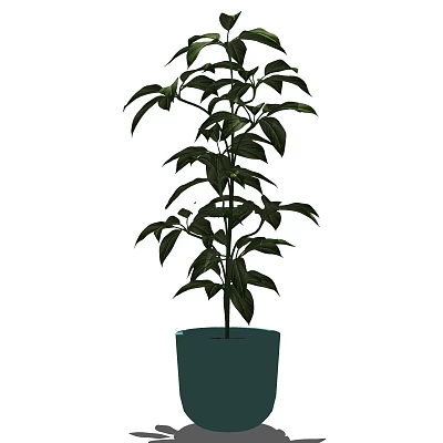 Modern potted potted plant 3d model