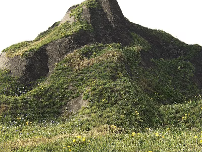 Garden Ornament With Green Vegetation Yellow Small Flowers Hill Rock And Grassland 3d model
