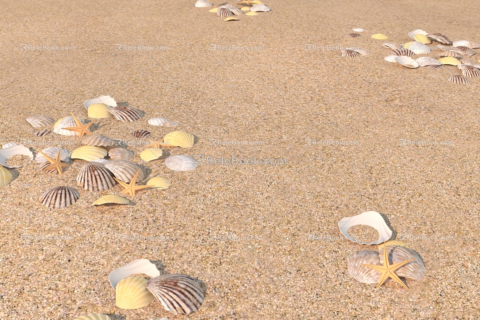 Outdoor Beach Shell Starfish 3d model