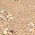 Beautiful Beach Scenery With Scattered Seashells And Starfish On Golden Sand