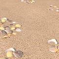 Outdoor Beach Shell Starfish 3d model