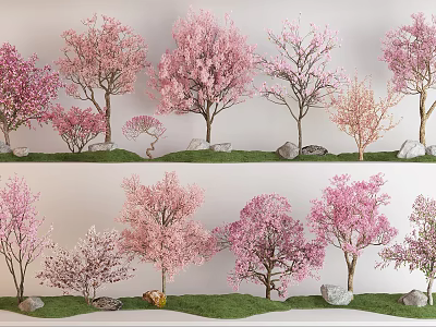 Ornamental Flowering Trees With Pink Blossoms And Diverse Forms On Grass With Stones 3d model