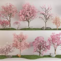 Ornamental Flowering Trees With Pink Blossoms And Diverse Forms On Grass With Stones 3d model