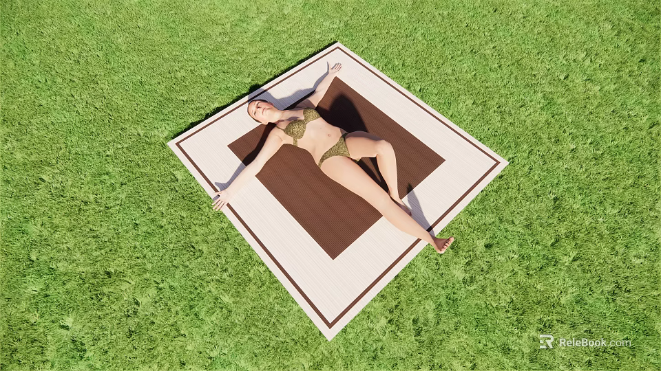 Woman Lying on Brown and White Blanket in Green Grass Area Wearing Bikini 3d model 