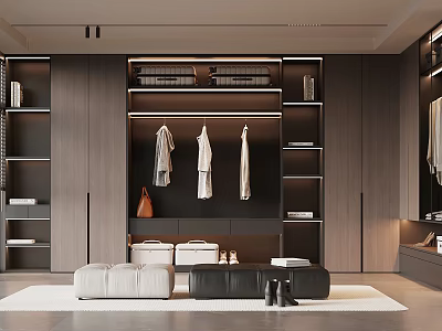 Modern Walk in Closet with Dark Wooden Cabinets Open Shelves Hanging Clothes and Storage Boxes 3d model