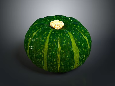 Fresh Green Pumpkin With Striped Surface And Yellow Stem On Dark Background 3d model