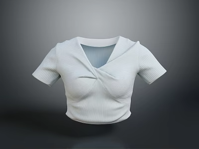 White Short Sleeve Cropped Top with V Neck Twisted Knot Detail and Ribbed Texture Design 3d model
