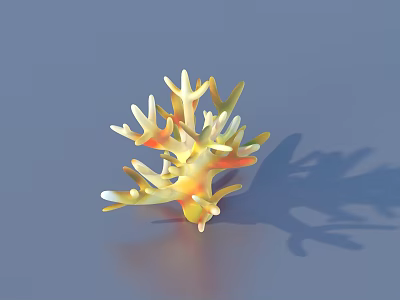 coral aquatic plants underwater world 3d model