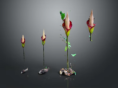 Four Unique Flower Buds with Red and White Petals on Green Stems and Decorative Bases 3d model