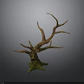 Natural Looking Stump Shaped Decorative Plant With Withered Branches And Green Base
