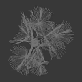 3D Rendered Arbor Palm Tree With Fan Shaped Leaves And Red Trunk Structure
