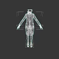 Toilet Head Figure In Black Business Suit And Skirt Professional Attire