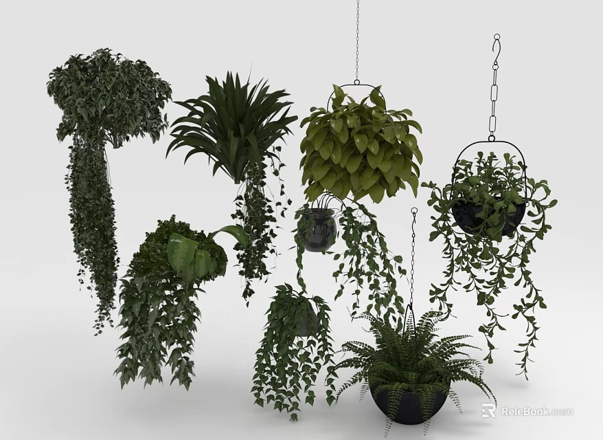 Various Types Of Decorative Hanging Green Plants With Trailing Leaves For Indoor Decor 3d model 