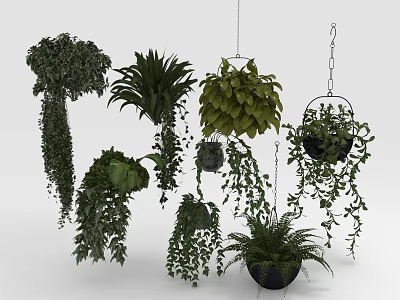 Various Types Of Decorative Hanging Green Plants With Trailing Leaves For Indoor Decor 3d model