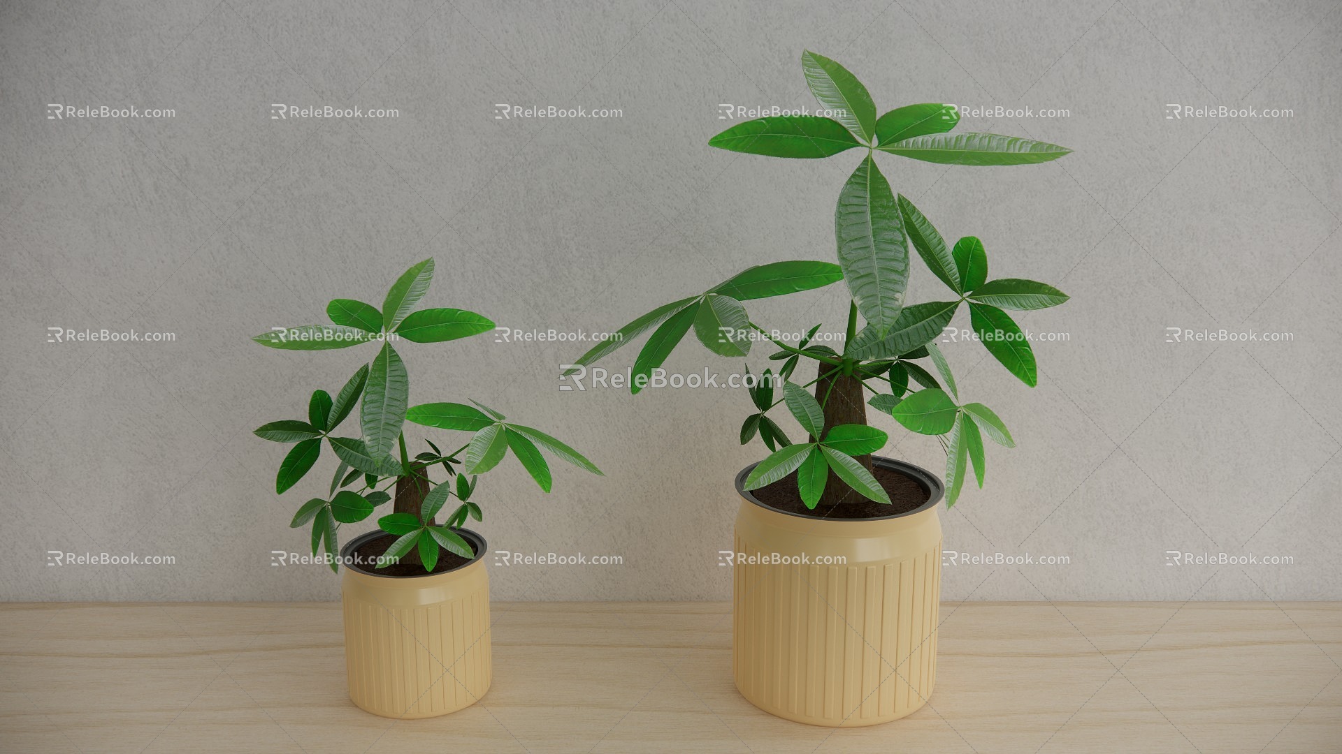 rich tree potted plant green plant rich tree ornaments 3d model