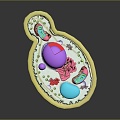 Bacteria Eukaryotic cell Cross section Cell Cell structure Cell tissue Anatomical organ 3d model