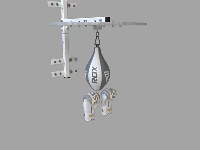 Hanging Speed Bag For Boxing Training And Fitness Workout Equipment 3d model