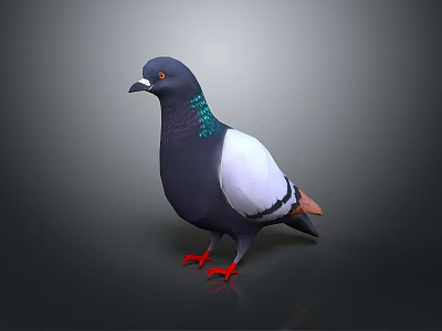 Realistic Animal Painting of Pigeon with Dark Gray Body White Wings and Green Iridescent Neck 3d model