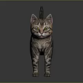 Striped Cat With Green Eyes Standing On Smooth Surface Against Gray Background 3d model