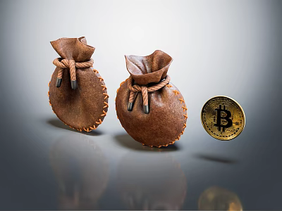 Brown Leather Drawstring Bags With Shiny Bitcoin Coin On Gray Reflective Surface 3d model