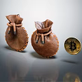 Brown Leather Drawstring Bags With Shiny Bitcoin Coin On Gray Reflective Surface 3d model