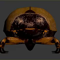 Yellow And Dark Brown Beetle With Shiny Shell And Legs On Dark Background 3d model