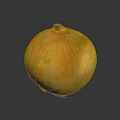 Ripe Fresh Whole Yellow Onion With Smooth Outer Skin On Dark Surface