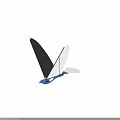 Toy Glider Model With White Wings Black Frame And Blue Body