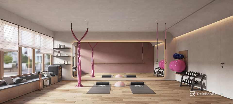 Yoga Fitness Studio With Pink Aerial Ropes Yoga Mats And Exercise Balls 3d model 