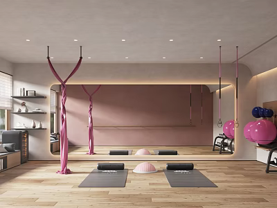 Yoga Fitness Studio With Pink Aerial Ropes Yoga Mats And Exercise Balls 3d model