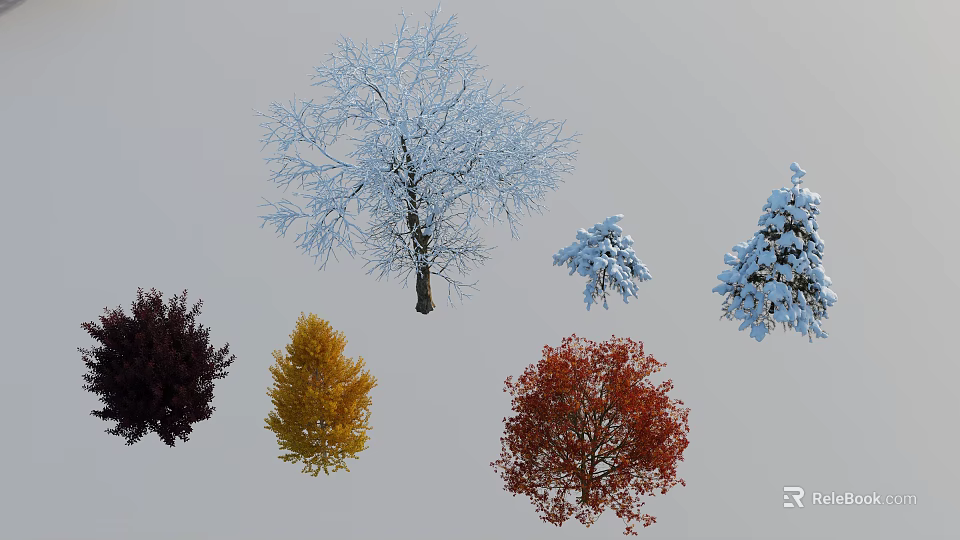 Seasonal Arbor Varieties Showcasing Snow Covered Crowns And Colorful Autumn Foliage 3d model 