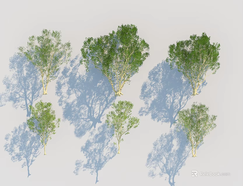 Various Shapes and Sizes of Green Foliage Trees with Shadows on Light Background 3d model 