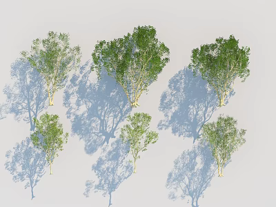 Various Shapes and Sizes of Green Foliage Trees with Shadows on Light Background 3d model