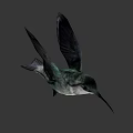 Colorful Hummingbird Flying With Spread Wings In Natural Outdoor Scene