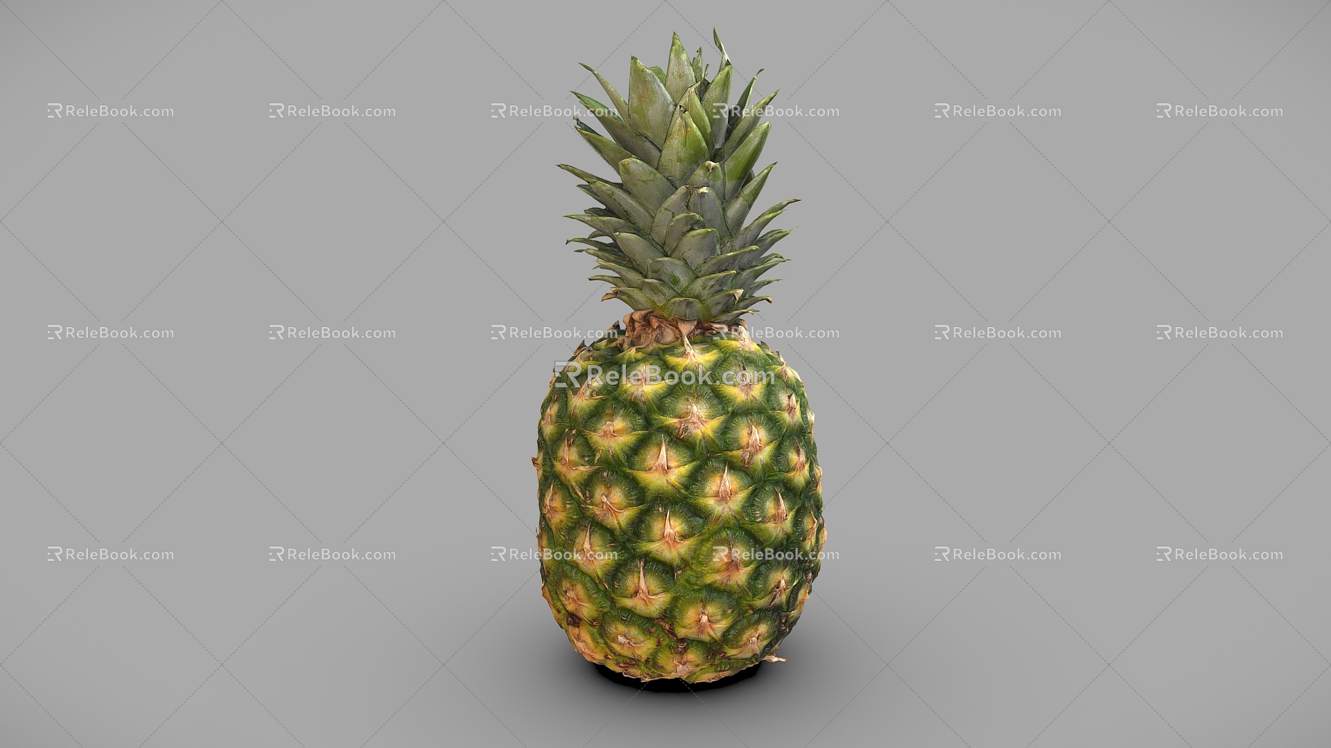 Pineapple pineapple fruit model