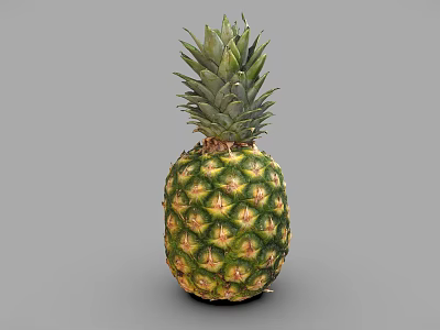 Fresh Ripe Pineapple With Green Leafy Top And Golden Yellow Skin 3d model