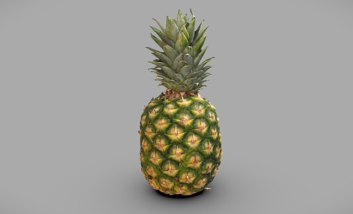 Pineapple pineapple fruit 3d model