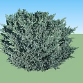 Well Trimmed Green Round Arbor With Lush Dense Foliage For Garden