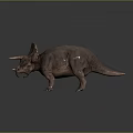 Detailed Brown Triceratops Dinosaur With Large Horns Frill Standing On Dark Background