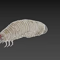3D Rendered Caterpillar With Yellow Striped Body Red Head And Visible Legs