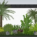 Tropical Garden Landscape with Palm Trees Banana Leaves Green Plants and Stones Against White Wall