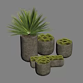 Potted Bonsai Plants With Gray Textured Pots Various Sizes And Green Moss Top