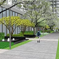 Residential Landscape With Lush Trees Paved Walkway Green Lawn Person Walking And High Rise Buildings