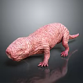 Pink Wrinkled Skin Fantasy Creature Character for Game and Film Design