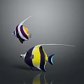 Two Vibrant Striped Fish With Long Fins Featuring Yellow Black And White Patterns