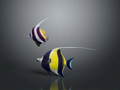 Two Vibrant Striped Fish With Long Fins Featuring Yellow Black And White Patterns 3d model