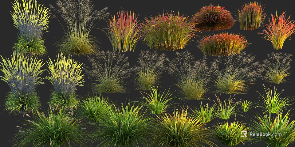 Colorful Ornamental Grasses With Various Types And Vibrant Green Red Yellow Hues 3d model 