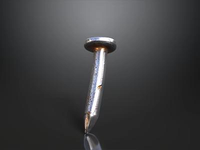 High Quality Steel Metal Nail With Sharp Point For Construction Projects 3d model