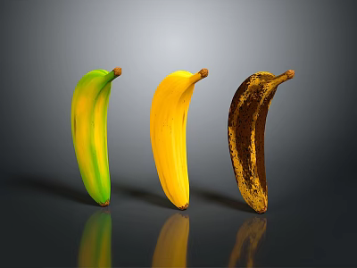 Three Bananas at Different Ripening Stages Green Yellow and Brown Spots 3d model